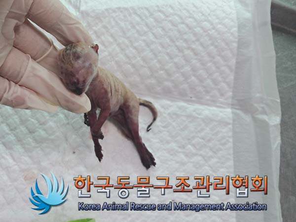 한국동물구조관리협회_441559202400939